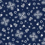 VINTAGE BANDANA ON MINKY