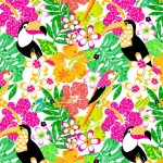 TOUCAN TROPICS ON MINKY