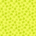 PETITE BLOOM ON MINKY
