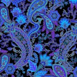 OPULENT PAISLEY ON MINKY