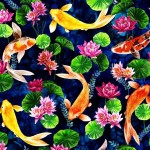 KOI HABITAT ON MINKY
