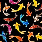 COLORFUL KOI ON MINKY
