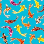 COLORFUL KOI ON MINKY