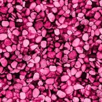 ROCK GARDEN ON MINKY