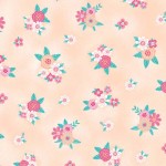 DESERT BLOSSOM ON MINKY