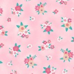 DESERT BLOSSOM ON MINKY