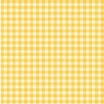 CHECKERED ON MINKY