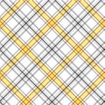 SUNSHINE PLAID ON MINKY