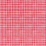 TINY GINGHAM on MINKY