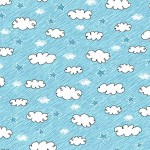 CLEAR THE SKY ON MINKY