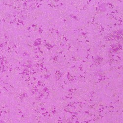 Fairy Frost (pearlized metallic)