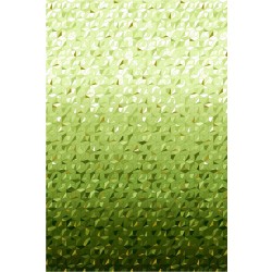 REFRACTIONS with Gold Metallic