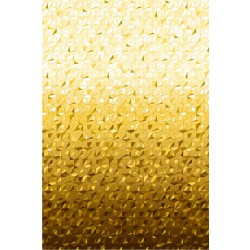 REFRACTIONS with Gold Metallic