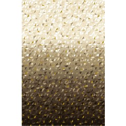 REFRACTIONS with Gold Metallic