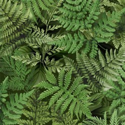 FERN FROLIC
