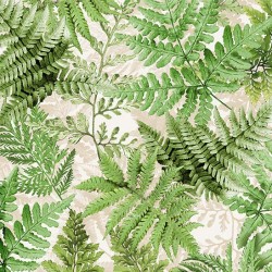 FERN FROLIC