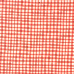 GINGHAM PLAY