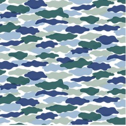 CAMO - NOT FOR PURCHASE BY MANUFACTURERS