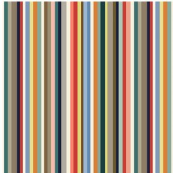 CAMPING STRIPE - NOT FOR PURCHASE BY MANUFACTURERS