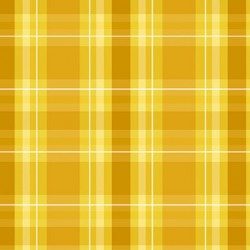 SHINE BRIGHT PLAID
