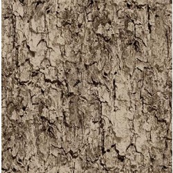 TREE BARK