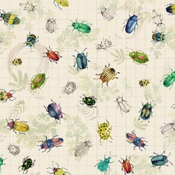 BEETLES AND BUGS