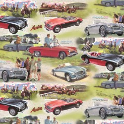 AUSTIN HEALEY RETRO SCENIC