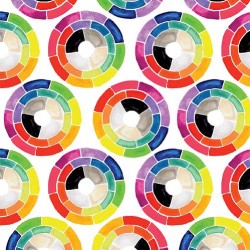 WHEEL OF COLOR ON MINKY