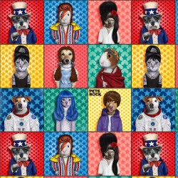 PETS ROCK SET PATCH ON MINKY