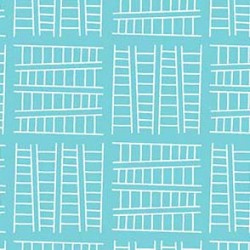 TALL LADDER ON MINKY