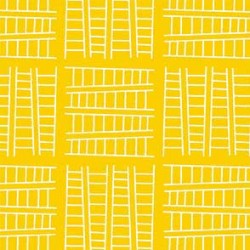 TALL LADDER ON MINKY