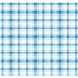 POP UP PLAID ON MINKY