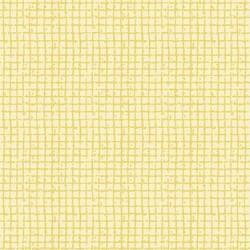 GRID TEXTURES ON MINKY