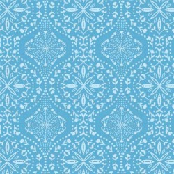 MAGICAL MEDALLION ON MINKY