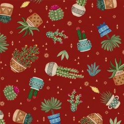 CACTUS PLANTS ON MINKY