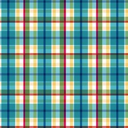 PUEBLO PLAID ON MINKY