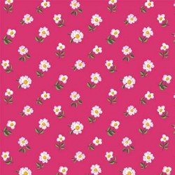 COSMOS FLOWER ON MINKY