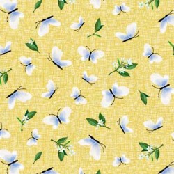 BUTTERFLY TEXTURE ON MINKY