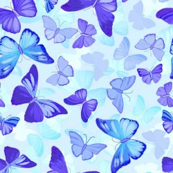 BUTTERFLY PAVILION ON MINKY