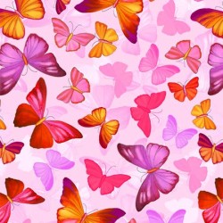 BUTTERFLY PAVILION ON MINKY