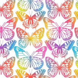 DAZZLING BUTTERFLIES ON MINKY
