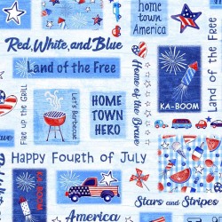 PATRIOTIC PATCHWORK ON MINKY