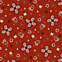 VINTAGE BANDANA ON MINKY