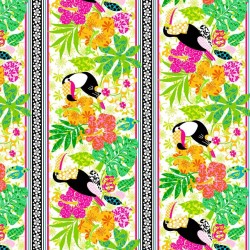 TOUCAN STRIPES ON MINKY