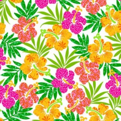 VIVID HIBISCUS ON MINKY