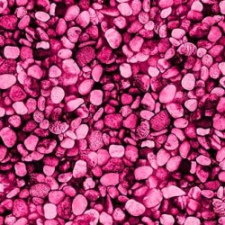 ROCK GARDEN ON MINKY