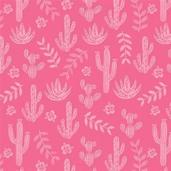 DESERT WINDS ON MINKY