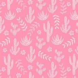 DESERT WINDS ON MINKY