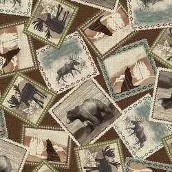 WILD PICTURES ON MINKY