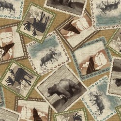 WILD PICTURES ON MINKY